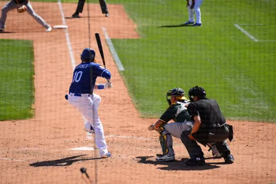 DSC_1593 (Large).JPG